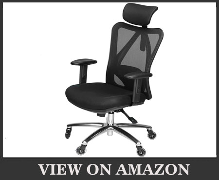 Duramont Ergonomic Adjustable Office Chair