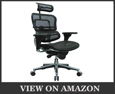 Ergohuman High Back Swivel Chair