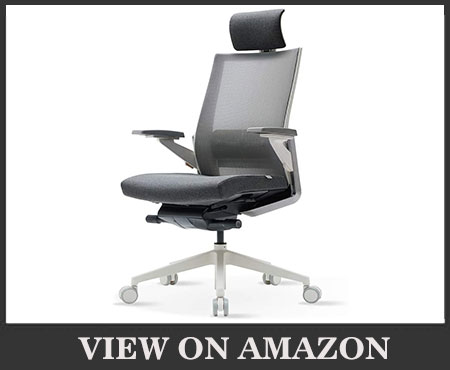 SIDIZ T80 Highly Adjustable Ergonomic Office Chair