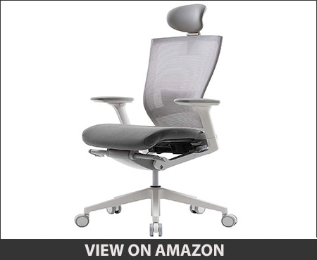 SIDIZ T50 Highly Adjustable Ergonomic Office Chair