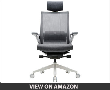 Sidiz T80 Highly Adjustable Ergonomic Office Chair