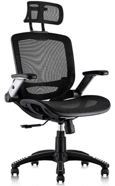 Gabrylly Ergonomic Mesh Office Chair