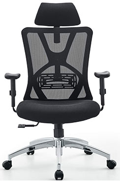 Ticova Ergonomic High Back Office Chair