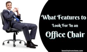What Features to Look for in an Office Chair?